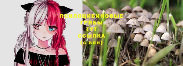 мдпв Вязники